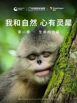 《我和自然 心有灵犀》第一季 - 生命的力量：探索地球生物多样性的奇迹，感受人与自然的深层联结